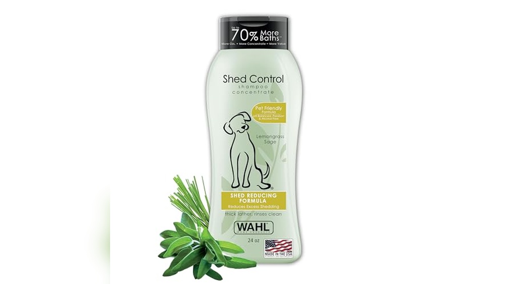 Best Dog Shampoo for Dandruff And Shedding