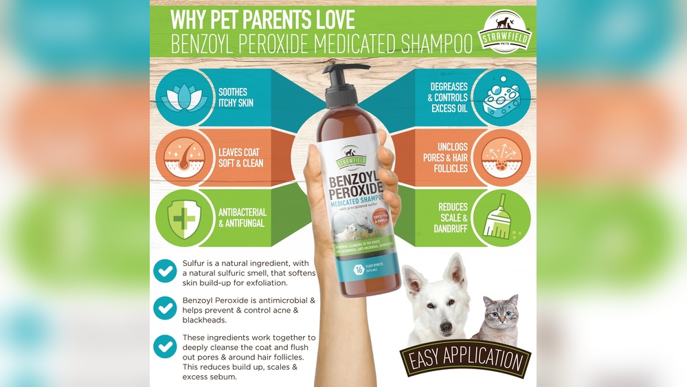 Best Dog Shampoo for Folliculitis