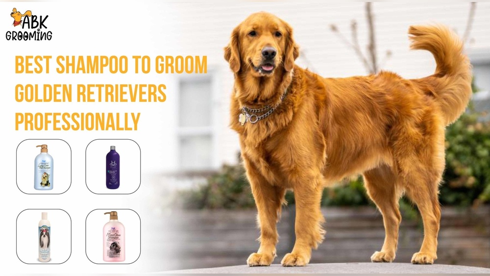 Best Dog Shampoo for Golden Retrievers
