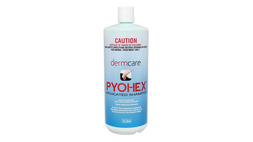 Best Dog Shampoo for Staph Infection
