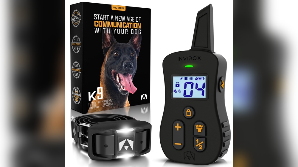 Best Dog Shock Training Collars