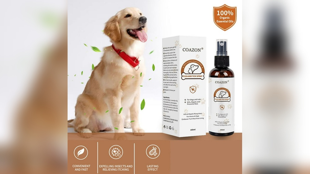 Best Dog Spray for Smelly Dogs