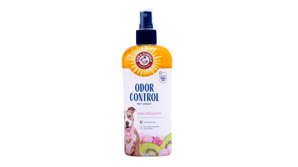Best Dog Spray to Smell Good