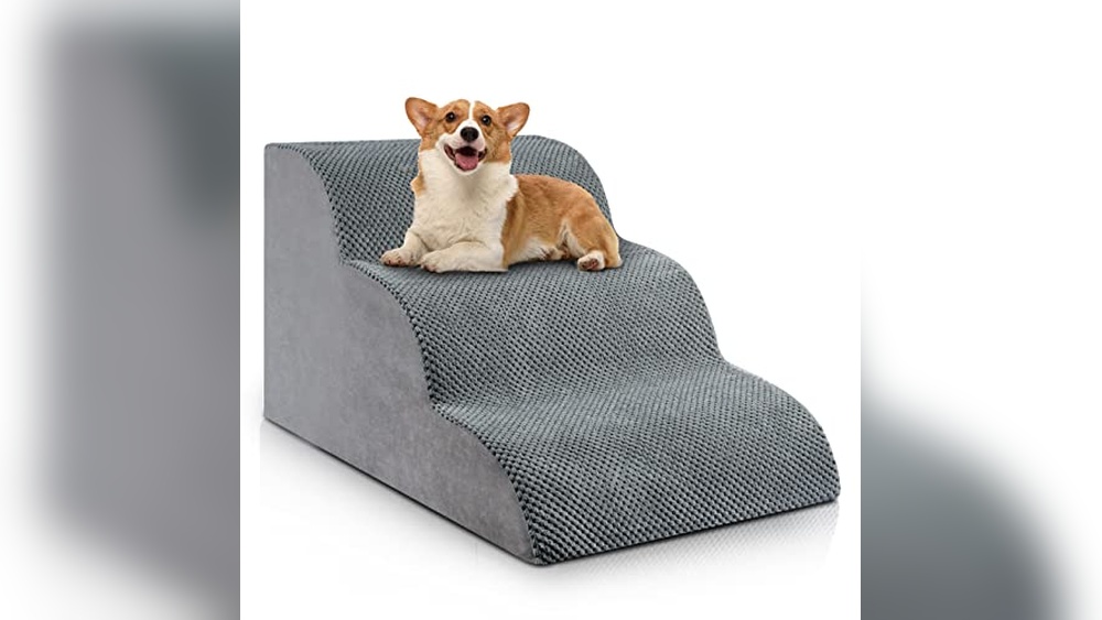 Best Dog Steps for Small Dogs