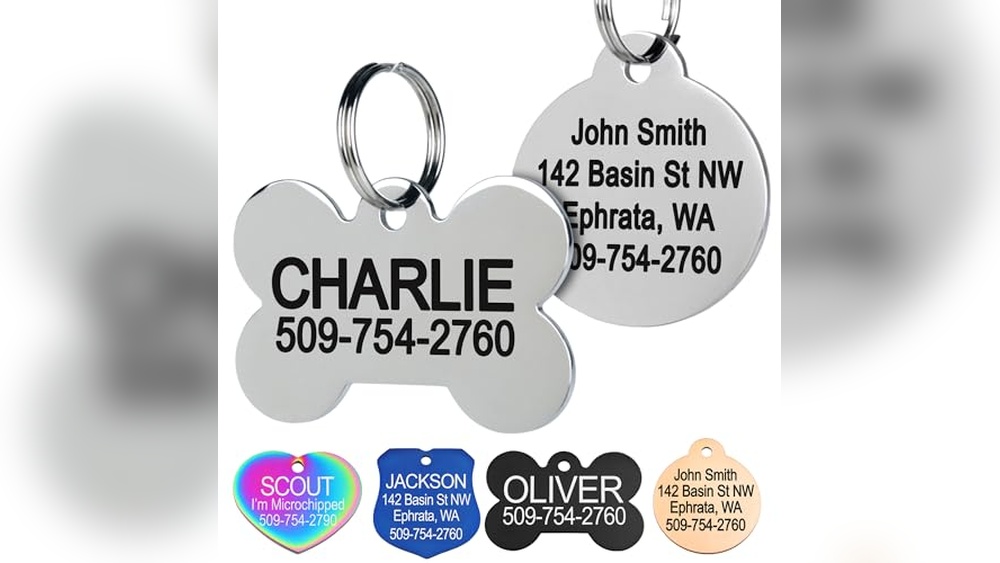 Best Dog Tags for Large Dogs