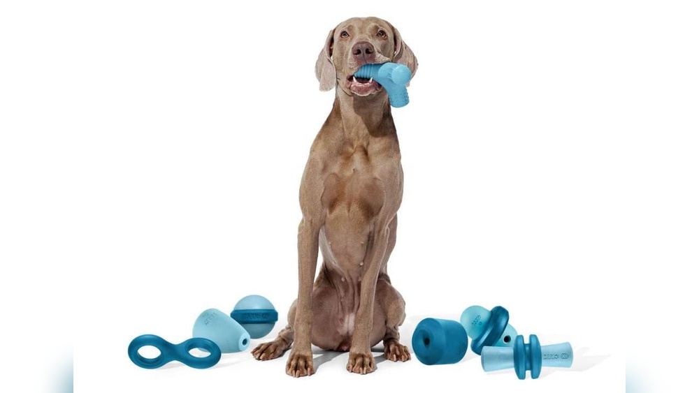 Best Dog Toys for Active Chewers