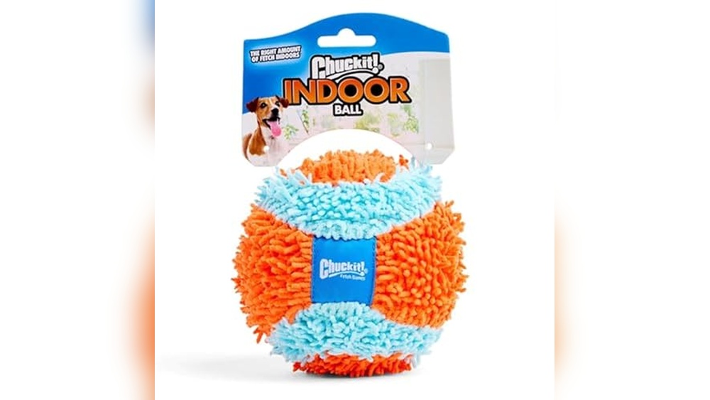 Best Dog Toys for Apartment Living
