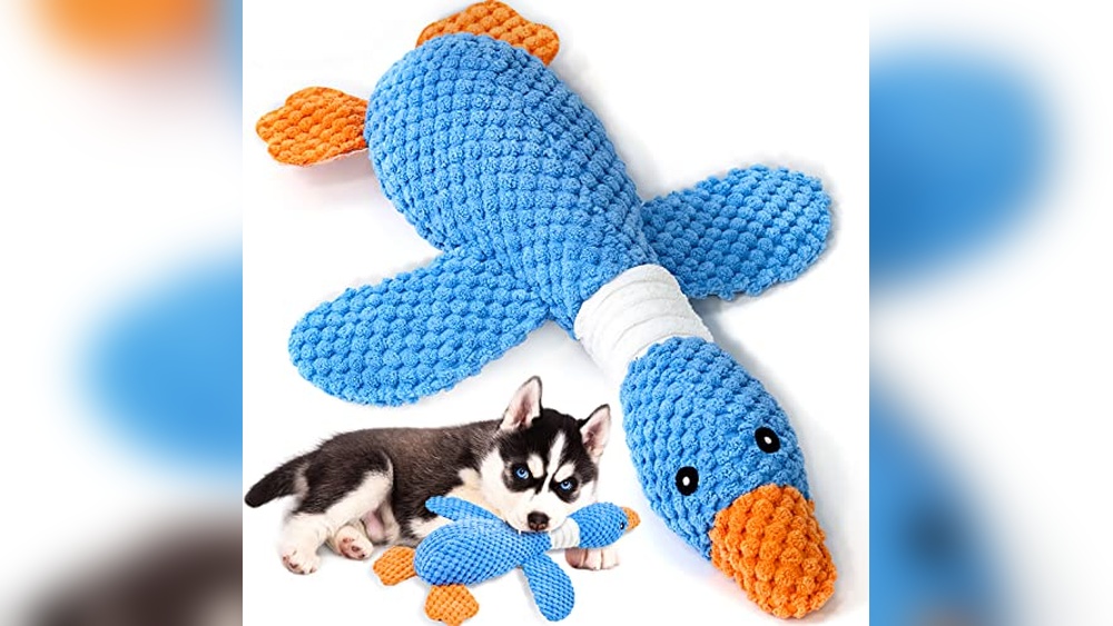 Best Dog Toys for Teething Puppies