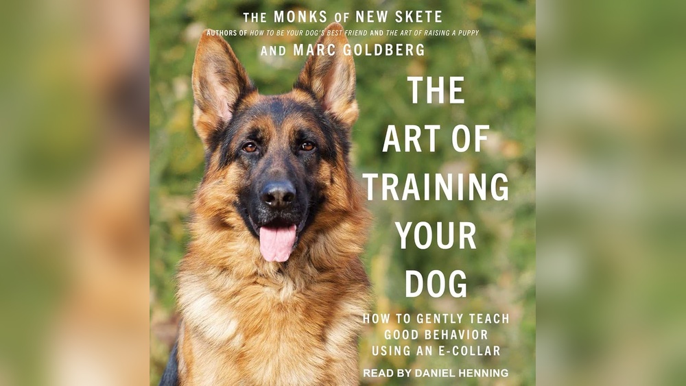 Best Dog Training Books for German Shepherds