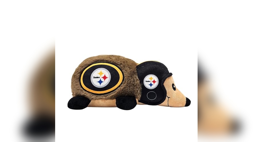 Best Dog Training in Pittsburgh