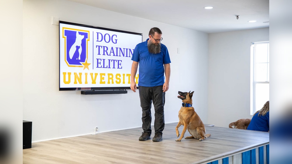 Best Dog Training in Pittsburgh