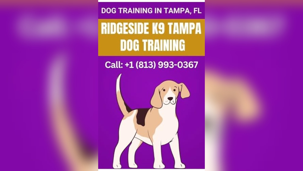 Best Dog Training Tampa Fl