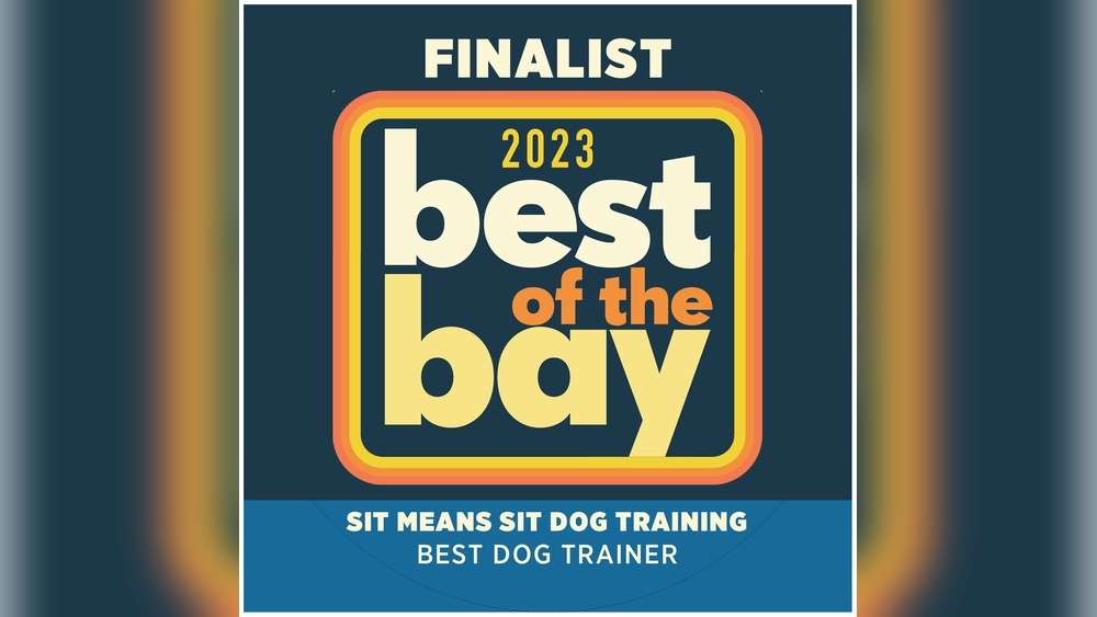 Best Dog Training Tampa Fl
