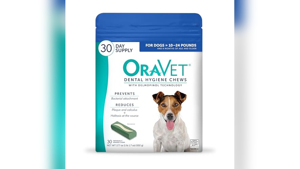 Best Dog Treat for Cleaning Teeth