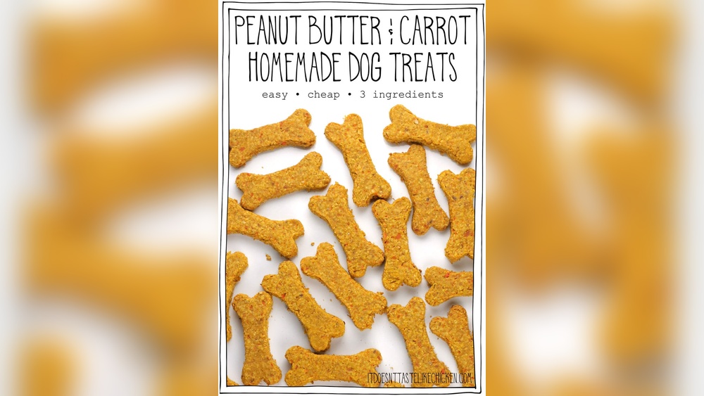 Best Dog Treats for Weight Loss