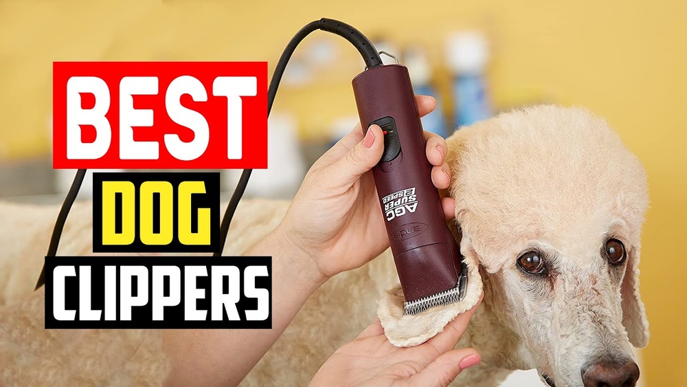 Best Dog Trimmers for Thick Hair