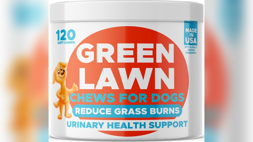 Best Dog Urine Grass Saver: Ultimate Solutions for Lush Lawns