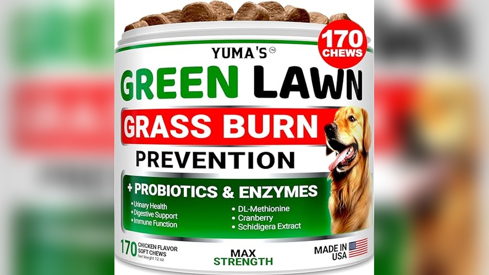 Best Dog Urine Neutralizer for Grass
