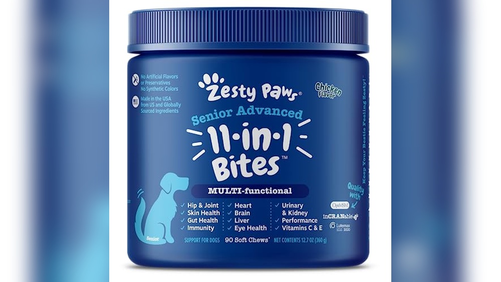 Best Dog Vitamins for Senior Dogs