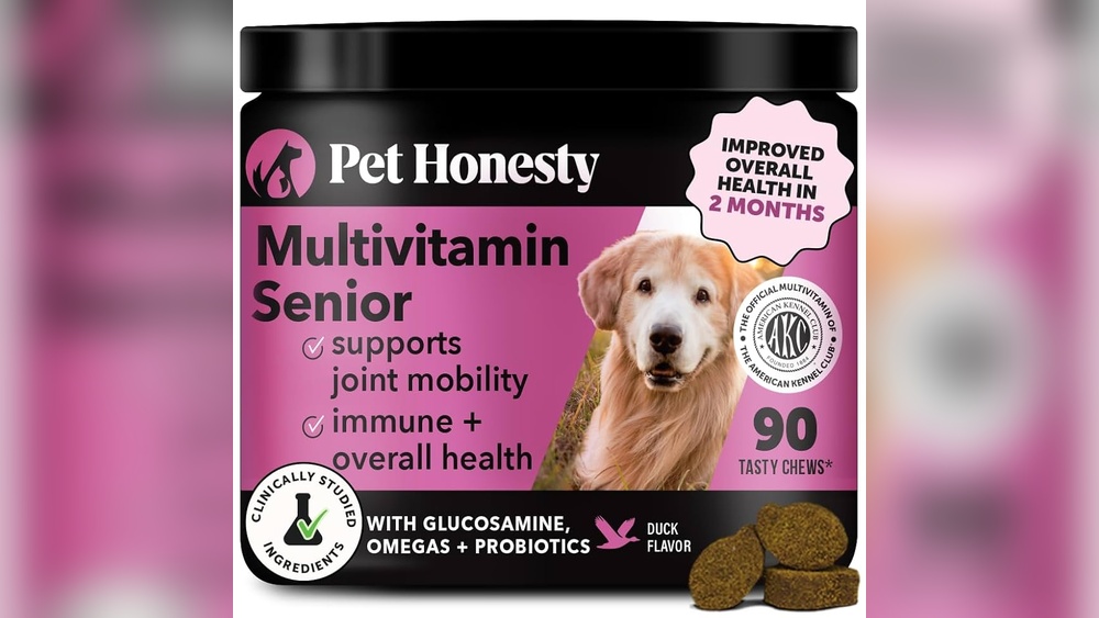 Best Dog Vitamins for Senior Dogs: Top Picks for Vitality & Health
