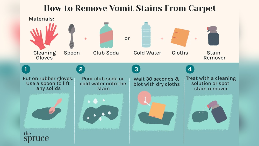 Best Dog Vomit Stain Removal from Carpet