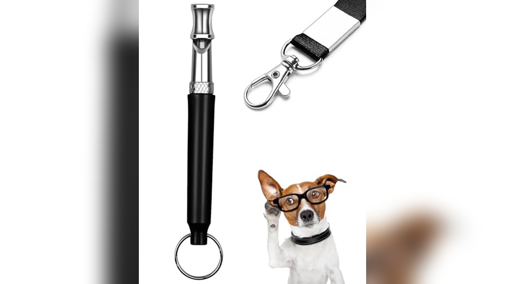 Best Dog Whistle App to Stop Barking