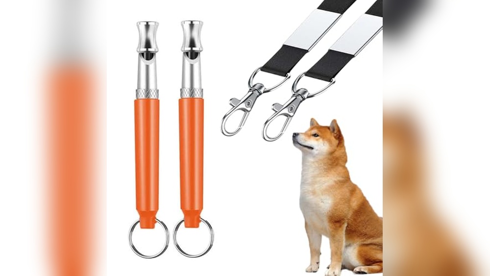 Best Dog Whistle for Recall