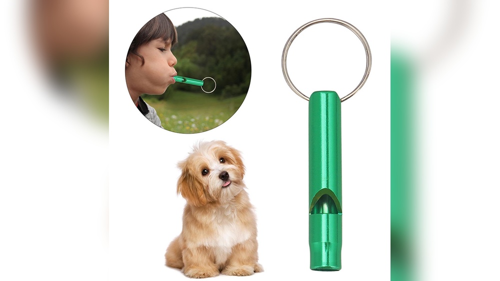 Best Dog Whistle for Recall