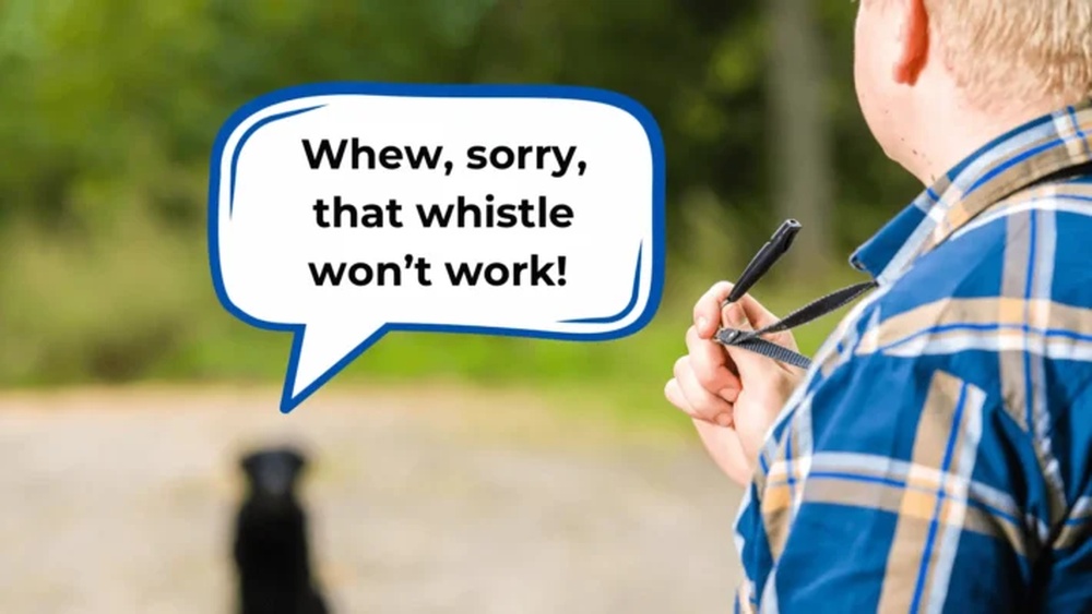 Best Dog Whistle for Training