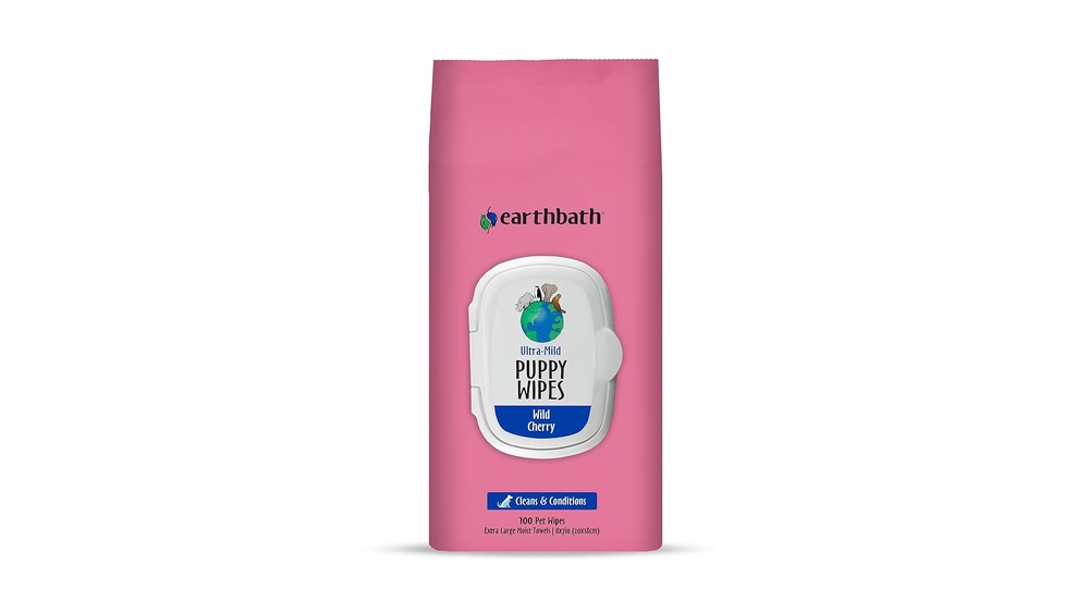 Best Dog Wipes for Paws