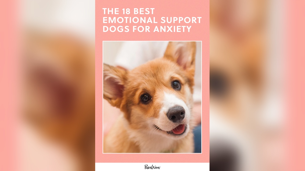 Best Dogs for Depression And Anxiety