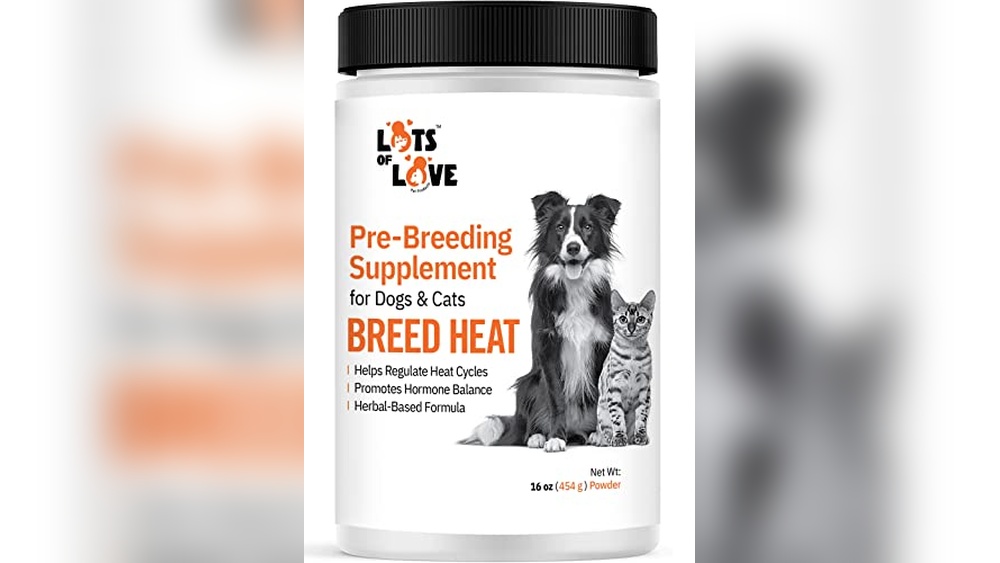 Best Dogs for Hot Climates