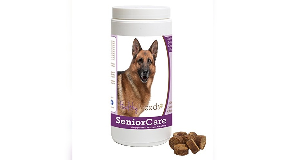 Best Dogs for Older Ladies