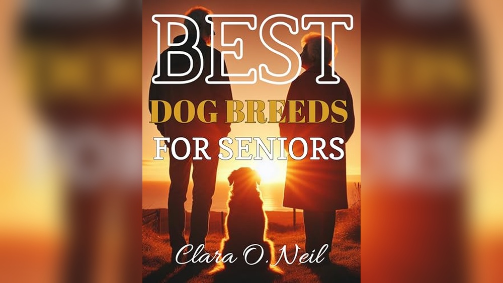 Best Dogs for Seniors Over 65