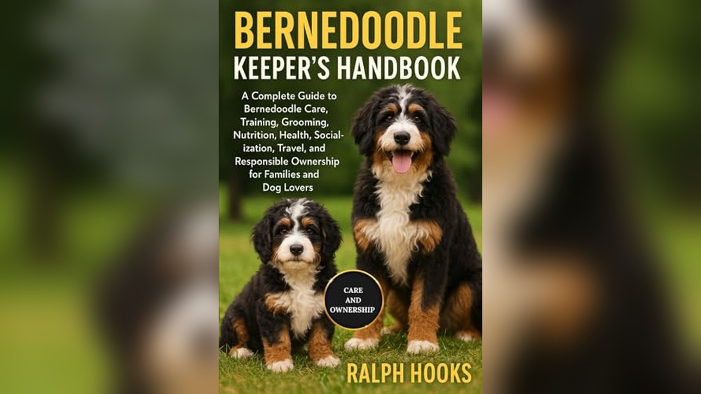 Best Dogs for Seniors With Mobility Issues
