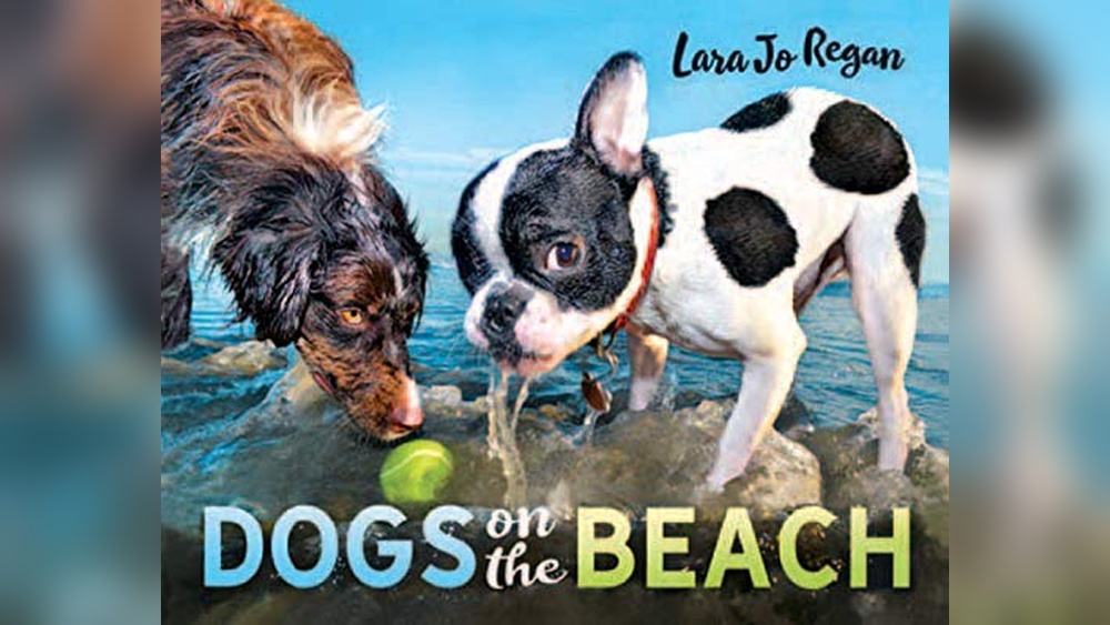 Best Dogs for the Beach