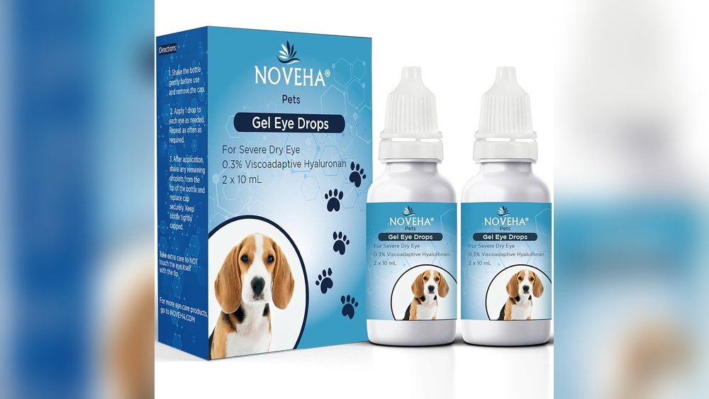 Best Drops for Dog Dry Eye
