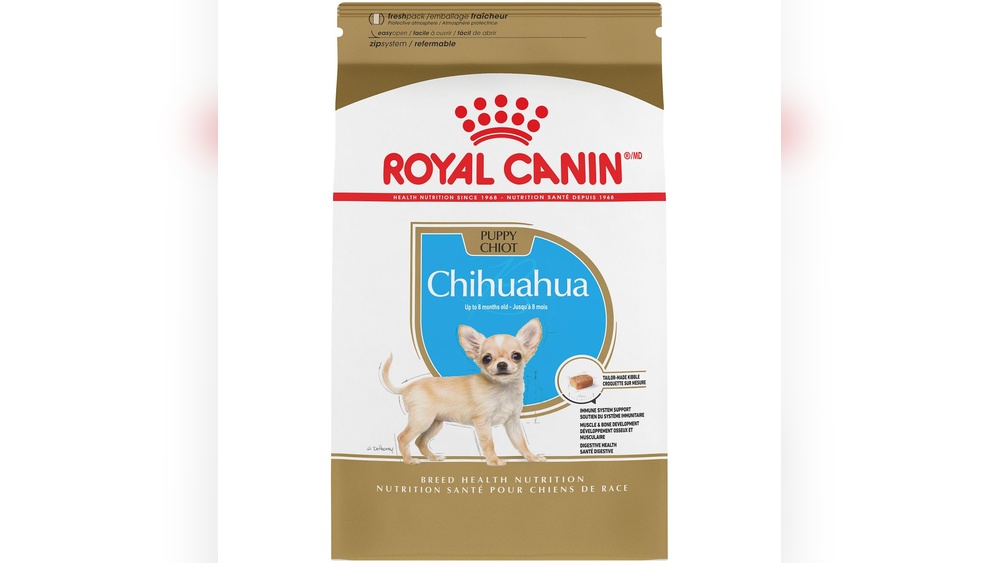 Best Dry Dog Food for Chihuahua