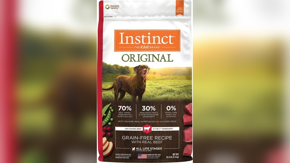 Best Dry Dog Food for Dogs With Cancer