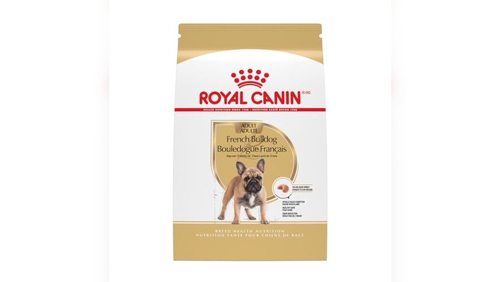 Best Dry Dog Food for Frenchies