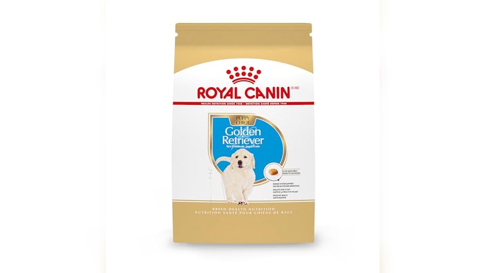 Best Dry Dog Food for Golden Retriever Puppies