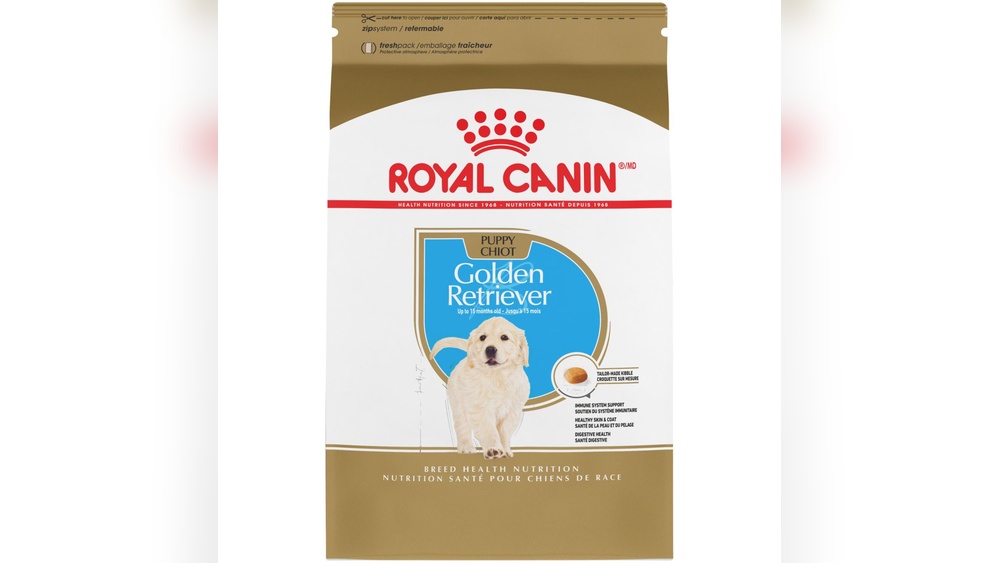 Best Dry Dog Food for Golden Retriever Puppies