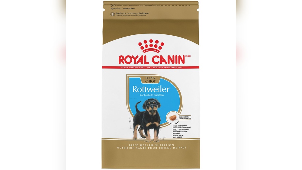 Best Dry Dog Food for Rottweiler Puppies