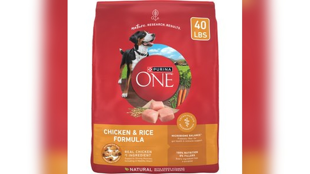 Best Dry Dog Food on a Budget