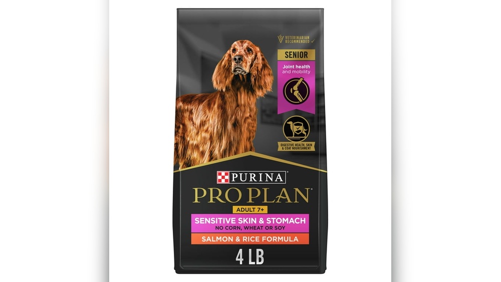 Best Dry Dog Food Senior