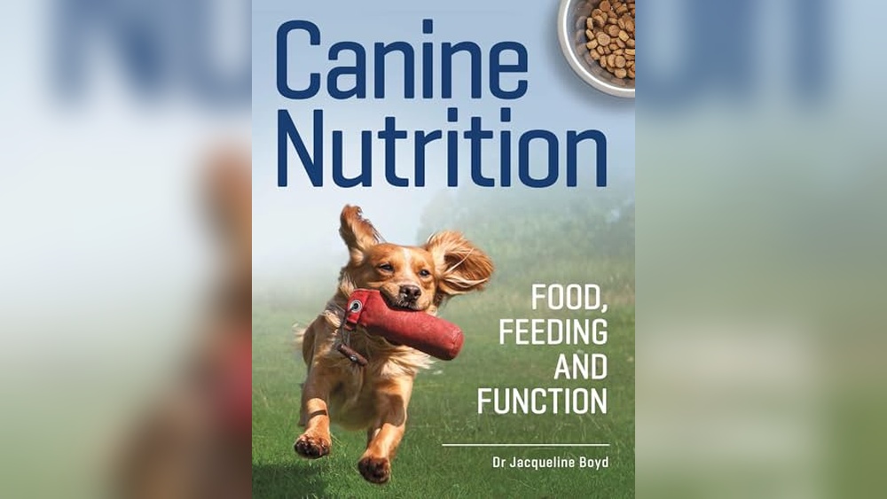 Best Dry Dog Food Uk