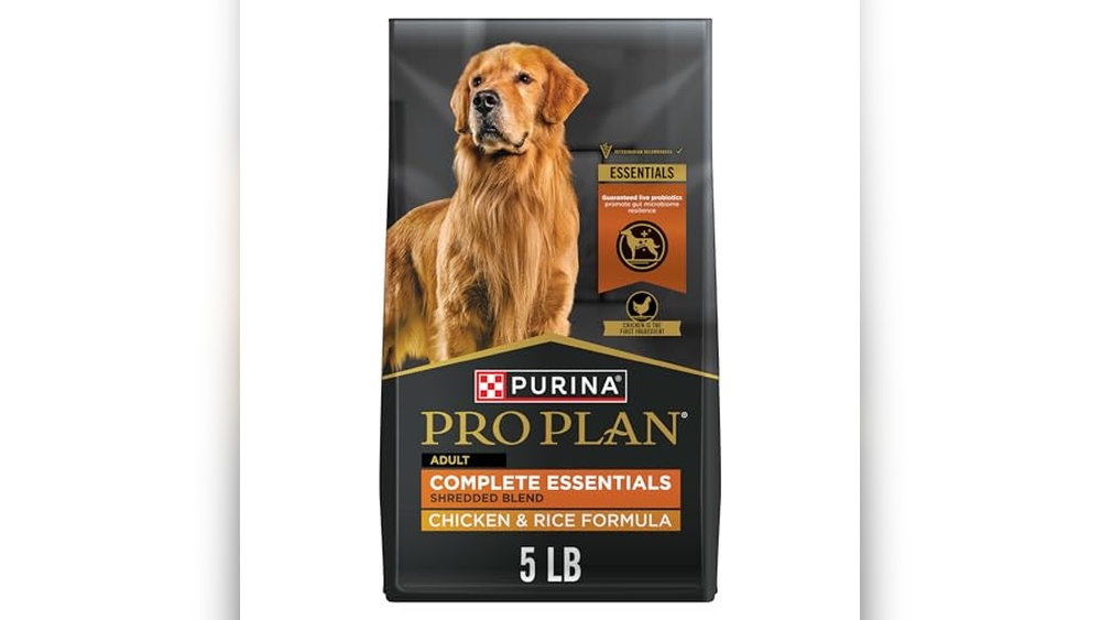 Best Dry Dog Food With Probiotics
