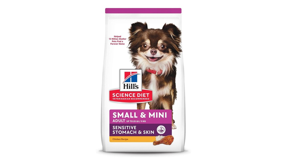 Best Dry Dog Foods for Small Breeds