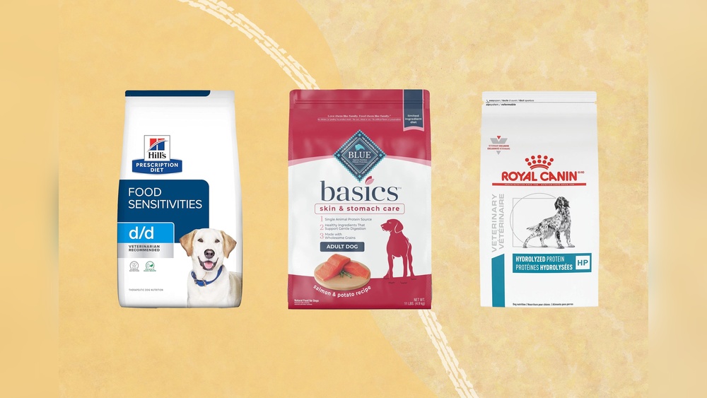 Best Dry Food for Dog With Allergies