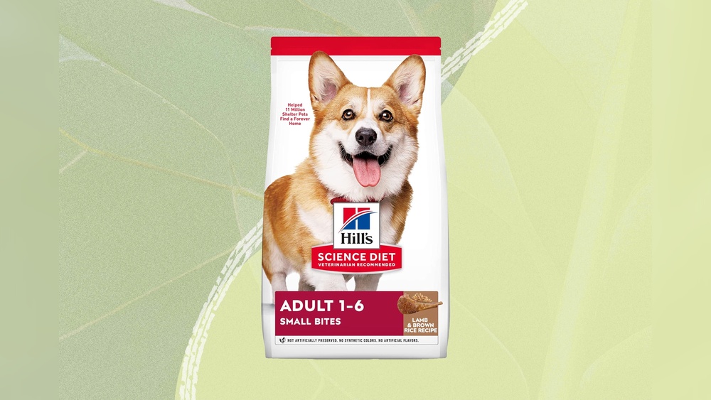 Best Dry Food for Dog With Allergies